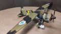 Eduard 1/48 Lysander