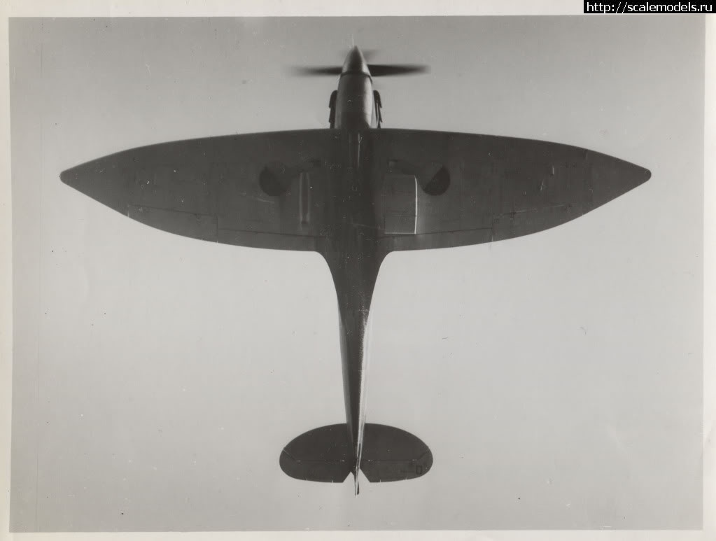 1646739445_X4942-B.jpg : #1731426/ Eduard 1/72 Spitfire Mk.VIII(#15557) -   