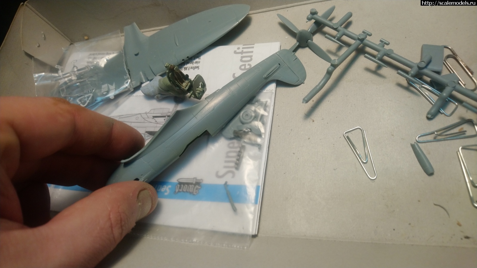 1646864229_16468642075946316302867873347733.jpg : #1731563/ Seafire Mk.III Sword 1/72   