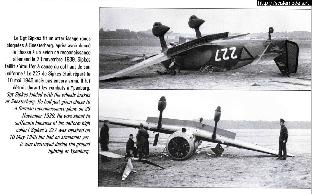 1647174479_1332022_17214279.jpg : #1731935/ Fokker D XXI -     