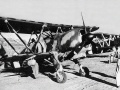 ICM 1/32 Fiat CR.42 AS -     