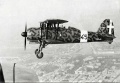 ICM 1/32 Fiat CR.42 AS -     