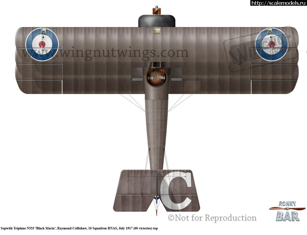 1651128437_12.png : 1/32 Sopwith Triplane, WnW  