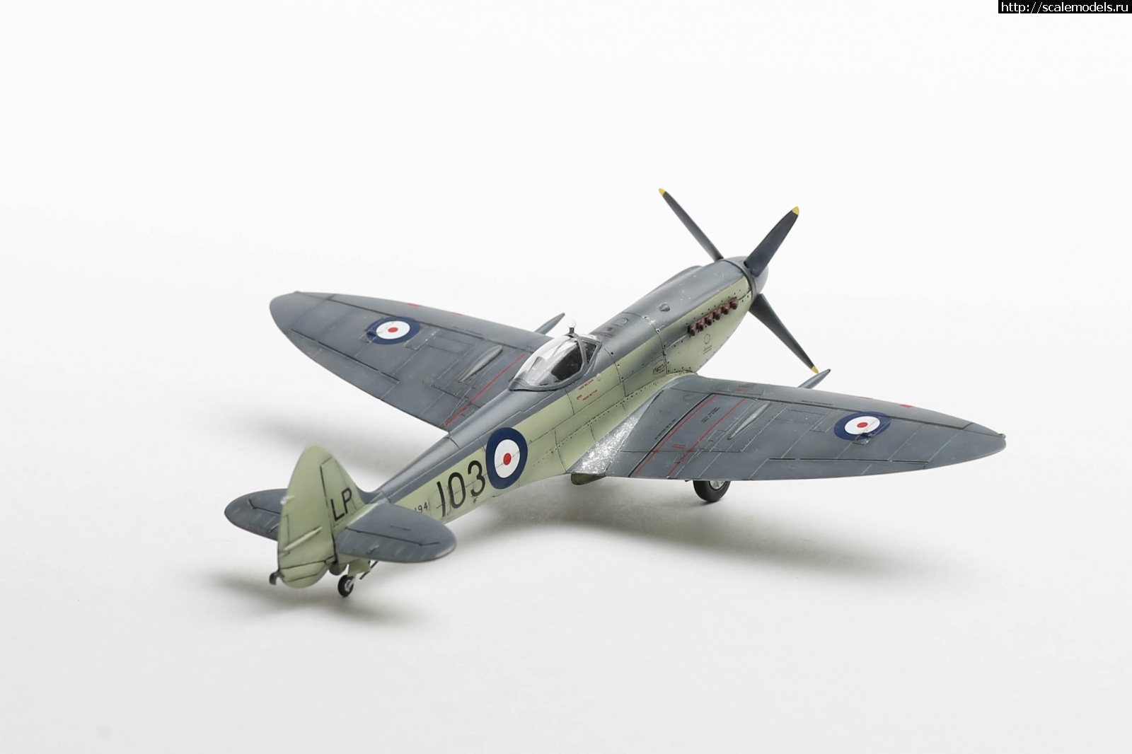 1651161103_235B5116.JPG : #1737017/ Seafire Mk.17 Sword 1/72   