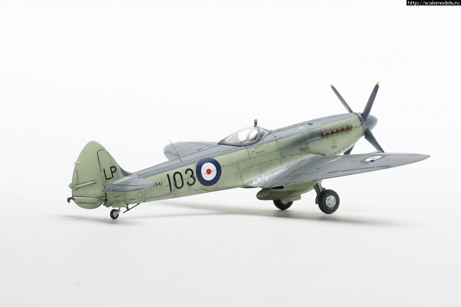 1651161105_235B5117.JPG : #1737017/ Seafire Mk.17 Sword 1/72   