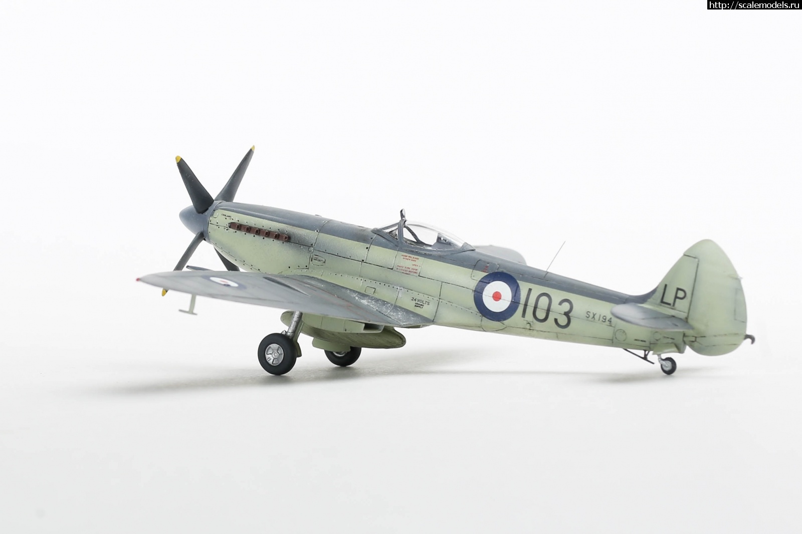 1651161113_235B5123.JPG : #1737017/ Seafire Mk.17 Sword 1/72   