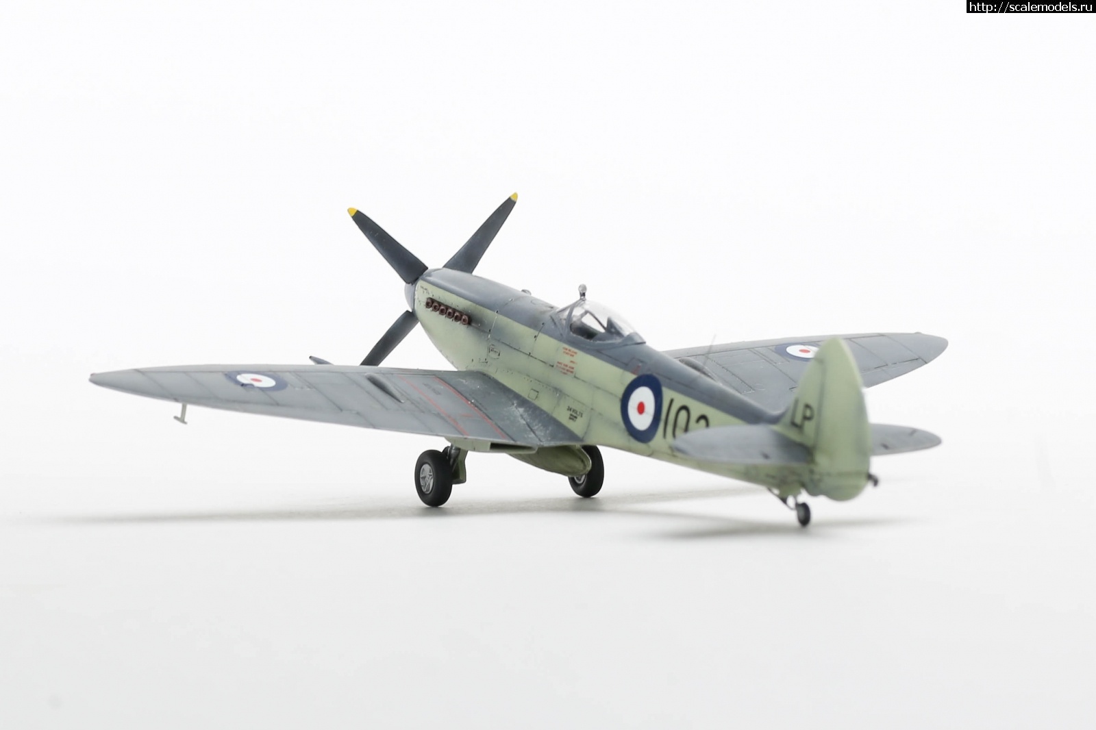 1651161116_235B5124.JPG : #1737017/ Seafire Mk.17 Sword 1/72   