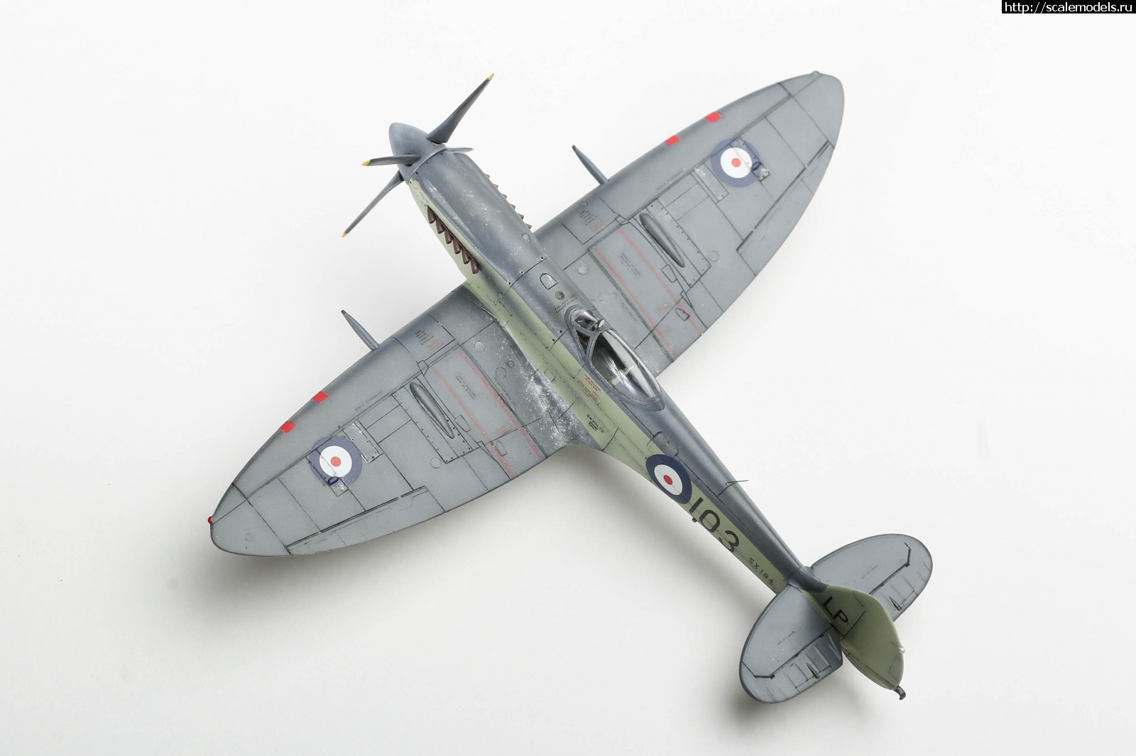 1651161148_235B5134.JPG : #1737017/ Seafire Mk.17 Sword 1/72   