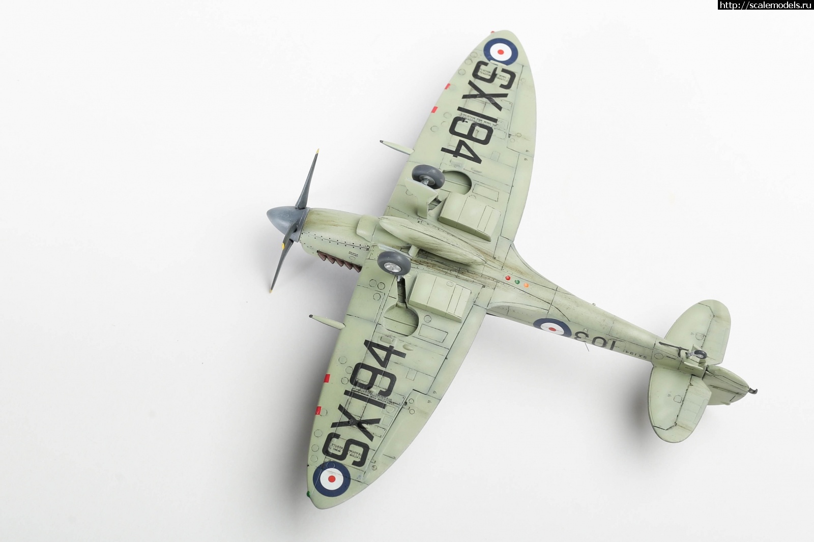 1651161169_235B5136.JPG : #1737017/ Seafire Mk.17 Sword 1/72   