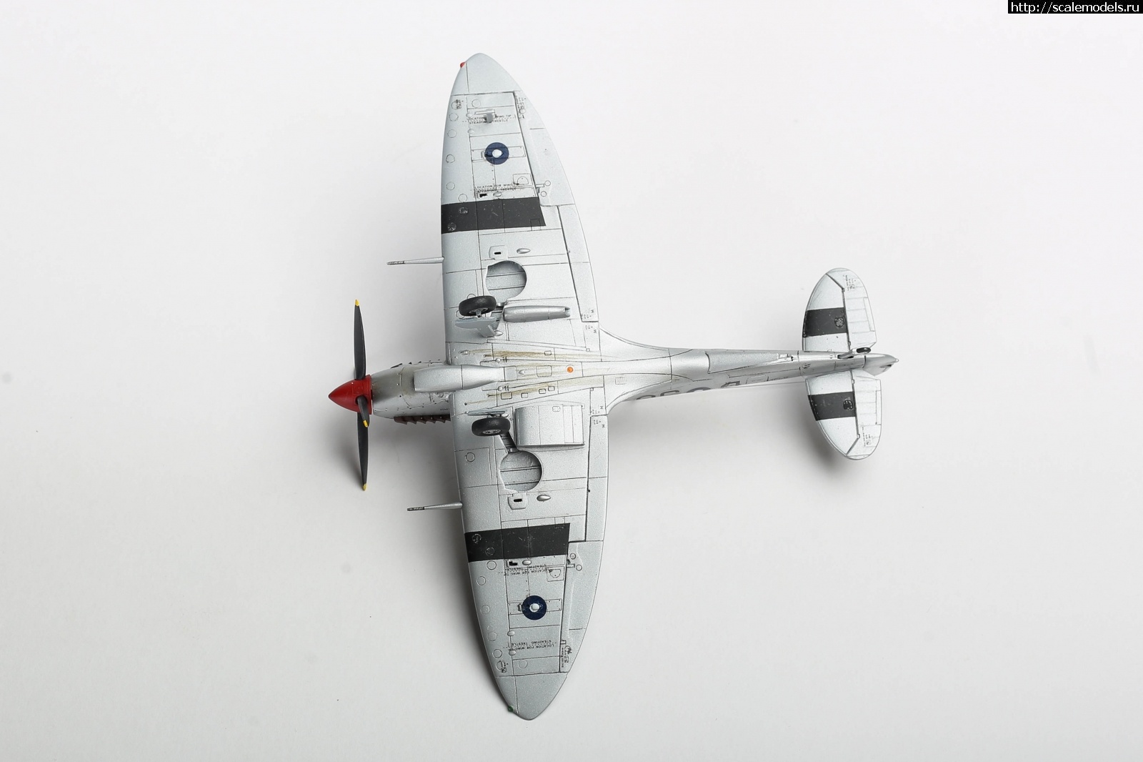 1651179290_235B5164.JPG : #1737055/ Seafire Mk.III Sword 1/72   