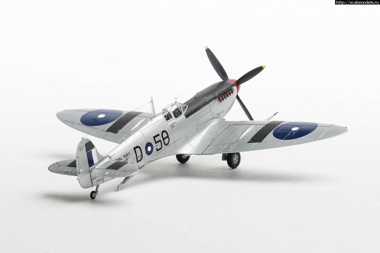 1651179295_235B5172.JPG : #1737055/ Seafire Mk.III Sword 1/72   