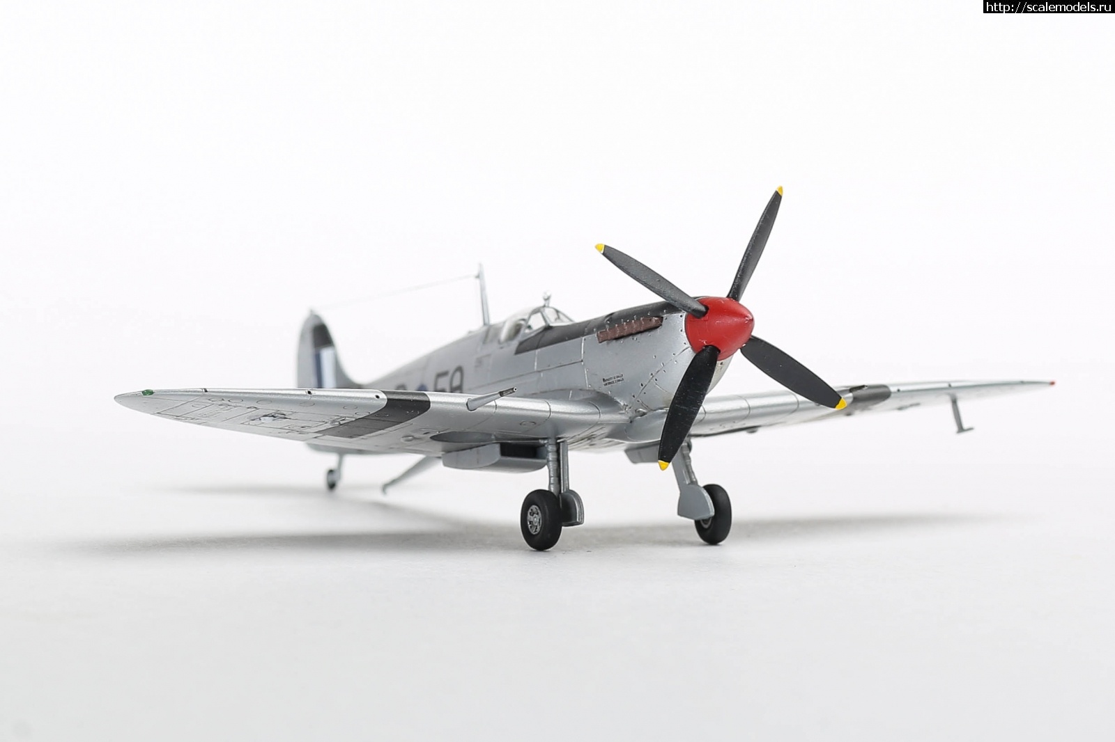 1651179306_235B5183.JPG : #1737055/ Seafire Mk.III Sword 1/72   