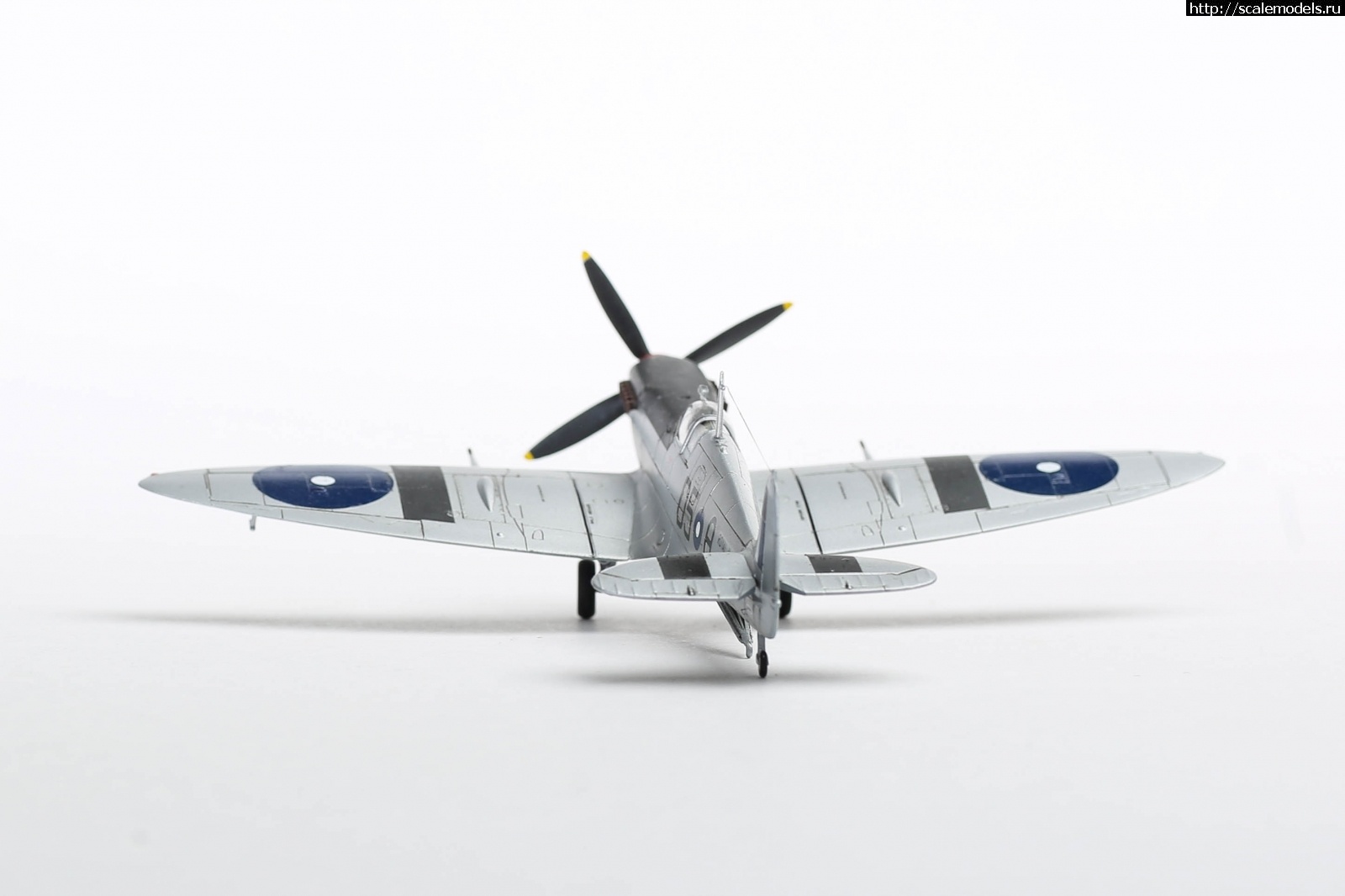 1651179315_235B5187.JPG : #1737055/ Seafire Mk.III Sword 1/72   