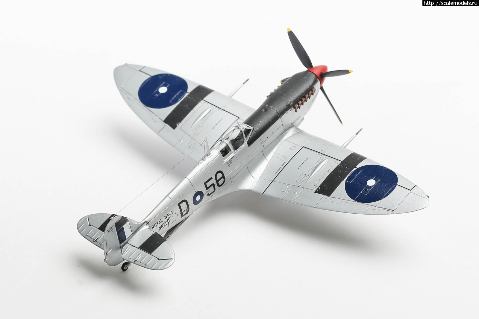 1651179329_235B5195.JPG : #1737055/ Seafire Mk.III Sword 1/72   