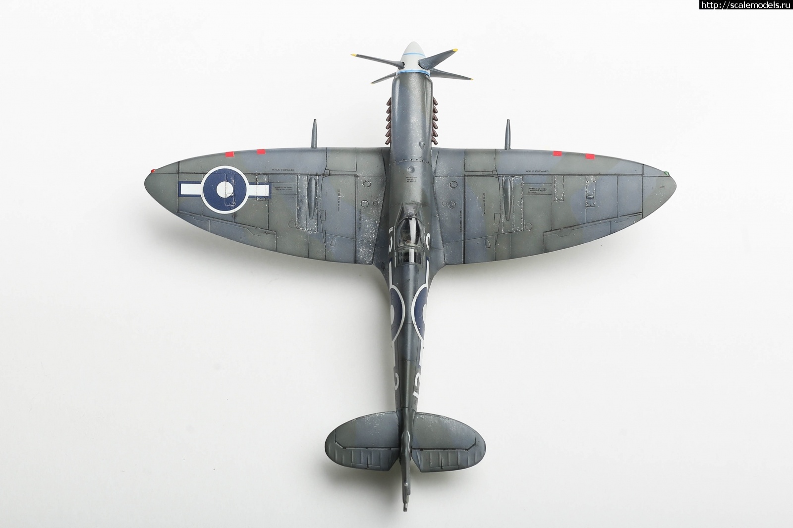 1651179497_235B5138.JPG : #1737056/ Seafire Mk.XV late Sword 1/72   