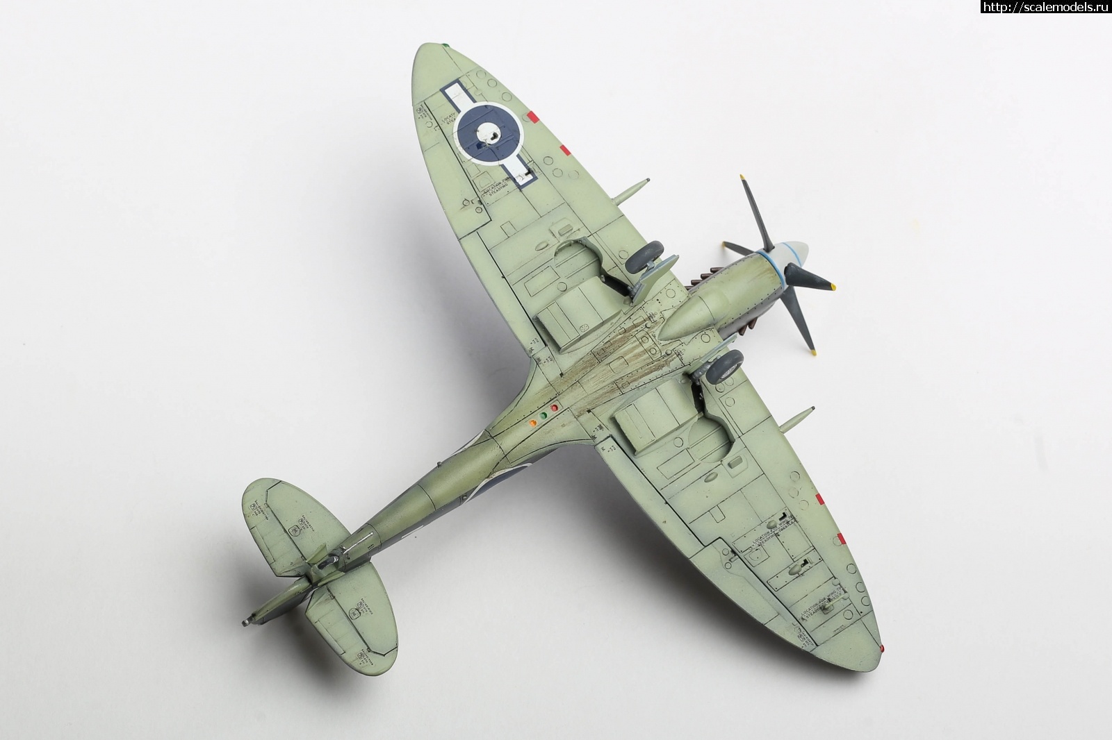 1651179502_235B5141.JPG : #1737056/ Seafire Mk.XV late Sword 1/72   