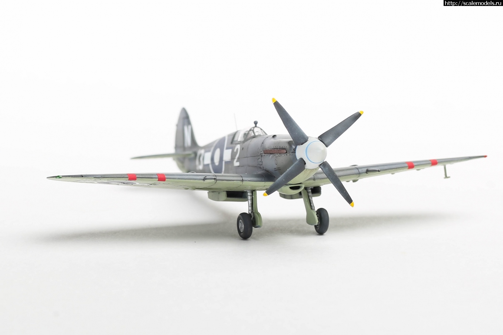 1651179517_235B5153.JPG : #1737056/ Seafire Mk.XV late Sword 1/72   