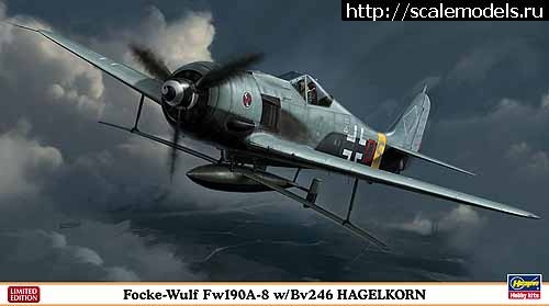 1652177408_2079_rd.jpg : Fw 190F-8  -5/U15 with BV 246 Hagelkorn 1/72  