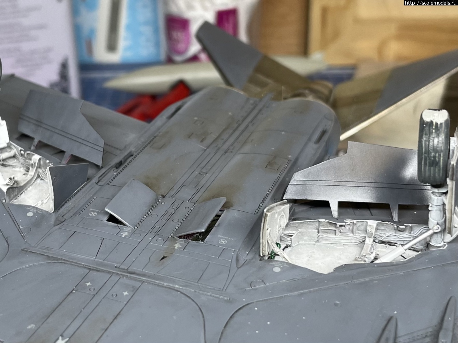 1655448933_IMG_3714.jpeg : #1743172/ Hasegawa 1/48 F-4G Wild Weasel.   !  