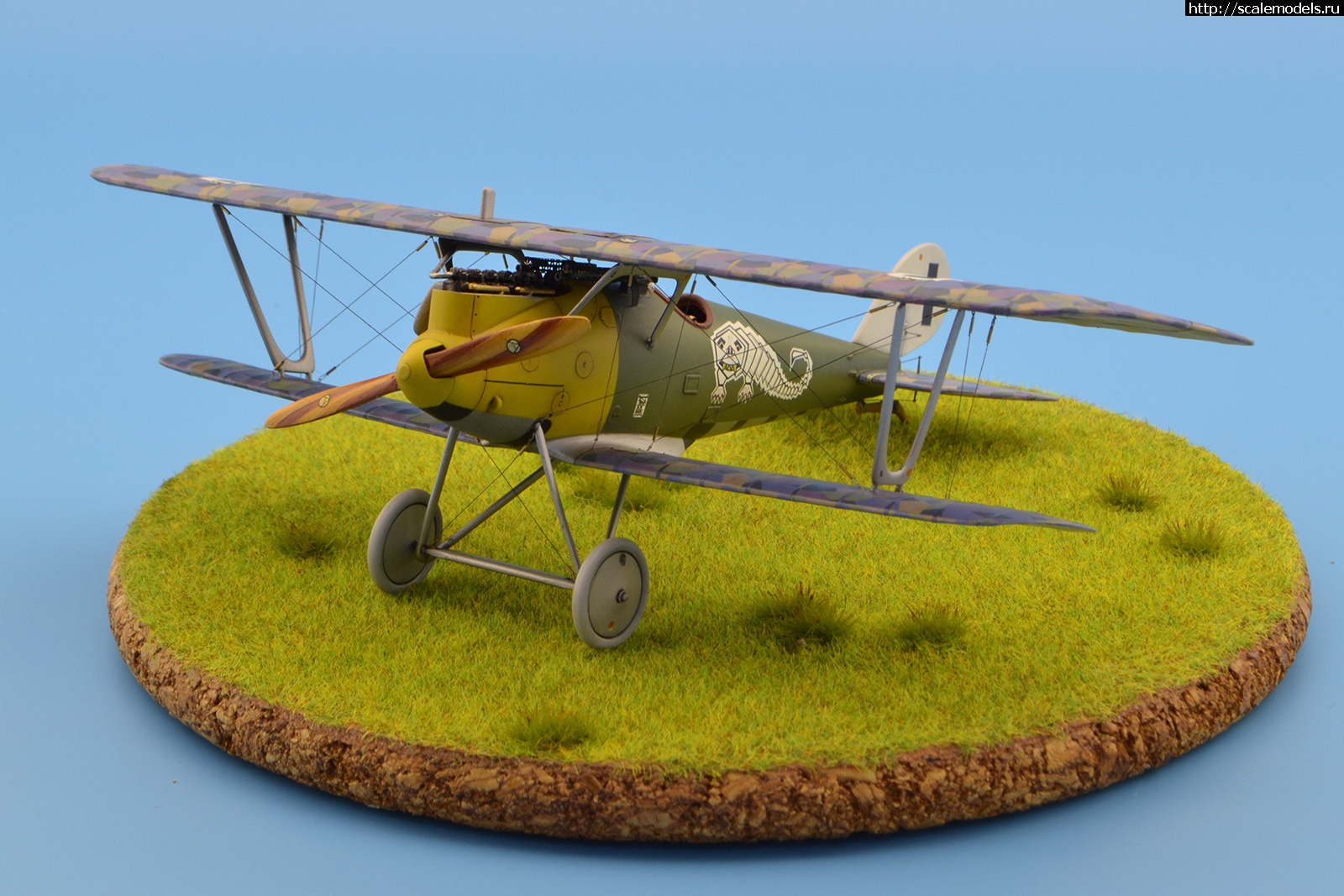 1655634008_10.jpg : #1743417/ Pfalz DIIIa 1/48 Eduard. .  