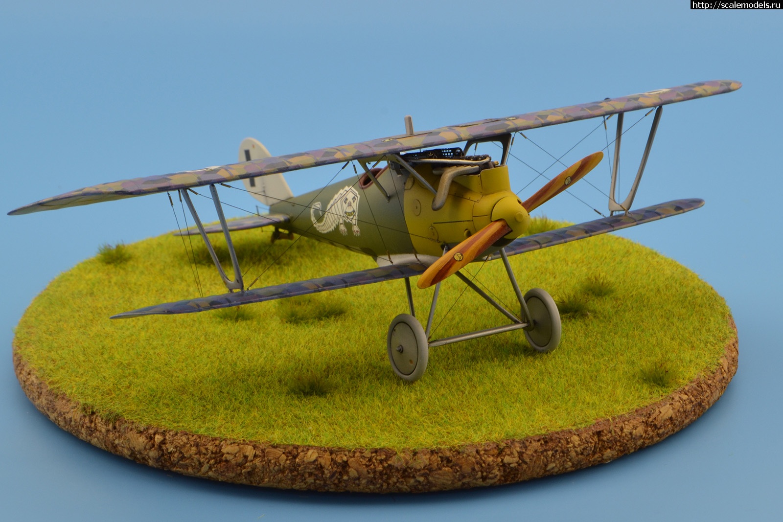 1655634011_13.jpg : #1743417/ Pfalz DIIIa 1/48 Eduard. .  