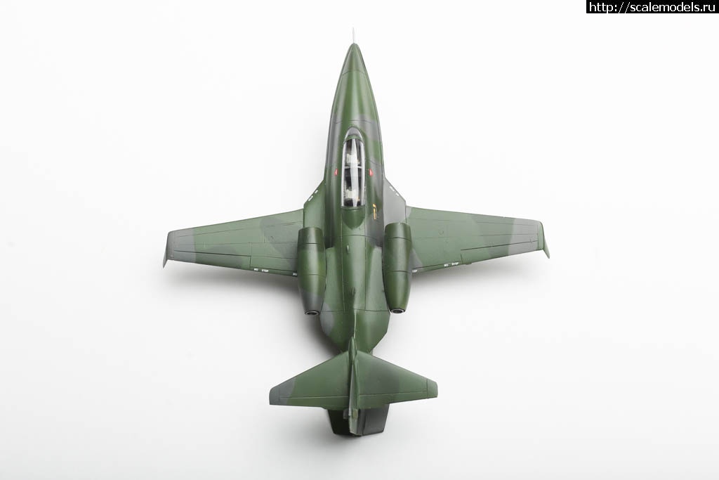 1655658241_235B1485.JPG : #1743480/ Boeing Skyfox  Smarkit 1/72   