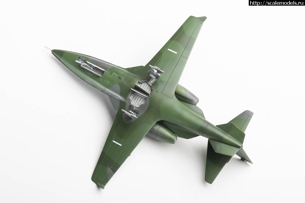 1655658242_235B1487.JPG : #1743480/ Boeing Skyfox  Smarkit 1/72   