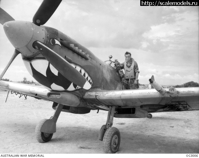 1655954945_spit8_raaf457sqd_1.jpeg : #1744020/ Eduard 1/72 Spitfire Mk VIII  ...(#15740) -   