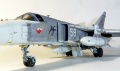 Trumpeter 1/48 -24