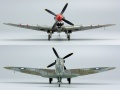 Eduard 1/72 Spitfire Mk VIII    