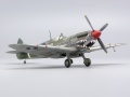 Eduard 1/72 Spitfire Mk VIII    