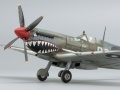 Eduard 1/72 Spitfire Mk VIII    