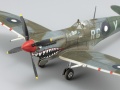 Eduard 1/72 Spitfire Mk VIII    