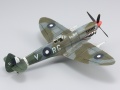 Eduard 1/72 Spitfire Mk VIII    