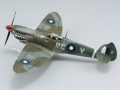 Eduard 1/72 Spitfire Mk VIII    