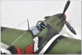 Vector/Modelsvit 1/48 Як-7б