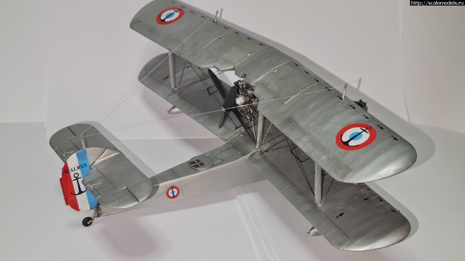 1663655798_20220920_091838.jpg : #1755052/ Special hobby Walrus Mk1 1/48    