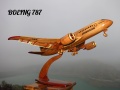 1/72 Boeing 787,   