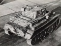 Border Model 1/35 Pz.Kpfw II Ausf.L Luchs