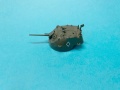 Bronco 1/48 T17E1 Staghound Mk.1