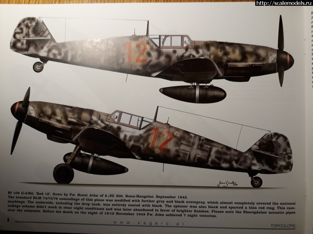 1668046626_20221110_051511.jpg : #1760402/  Bf 109 (G)-   .  