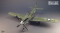 Dora Wings 1/48 P-63 Kingcobra