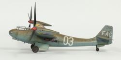 Amusing Hobby 1/48 P.1003/1 Weserflug