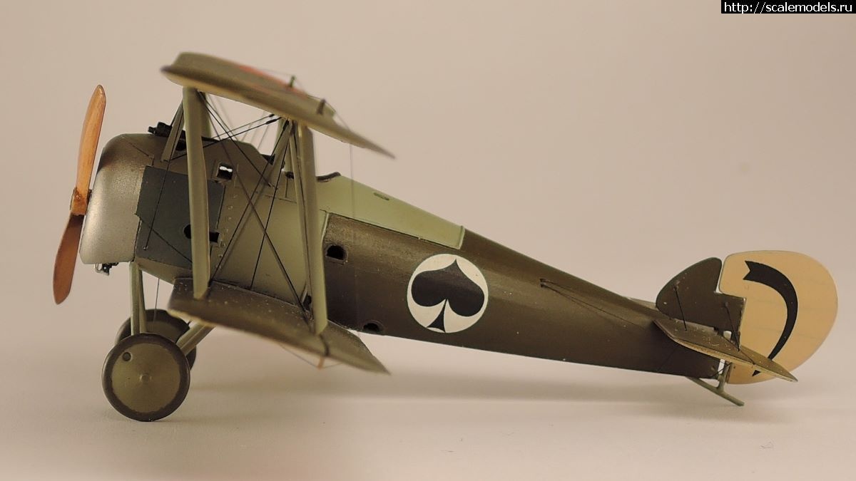 1672083850_DSCN3381a.jpg : #1766662/ Sopwith Snipe 1:72    