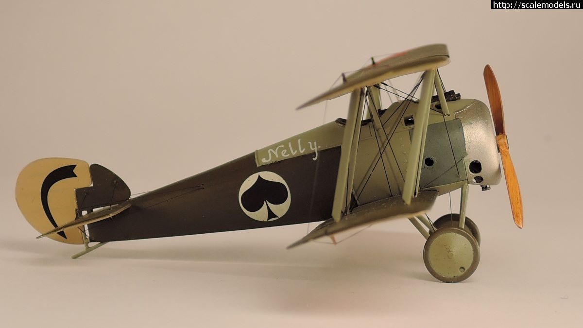 1672083851_DSCN3387a.jpg : #1766662/ Sopwith Snipe 1:72    