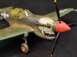 Academy 1/48 P-40N Warhawk - Battle of Imphal