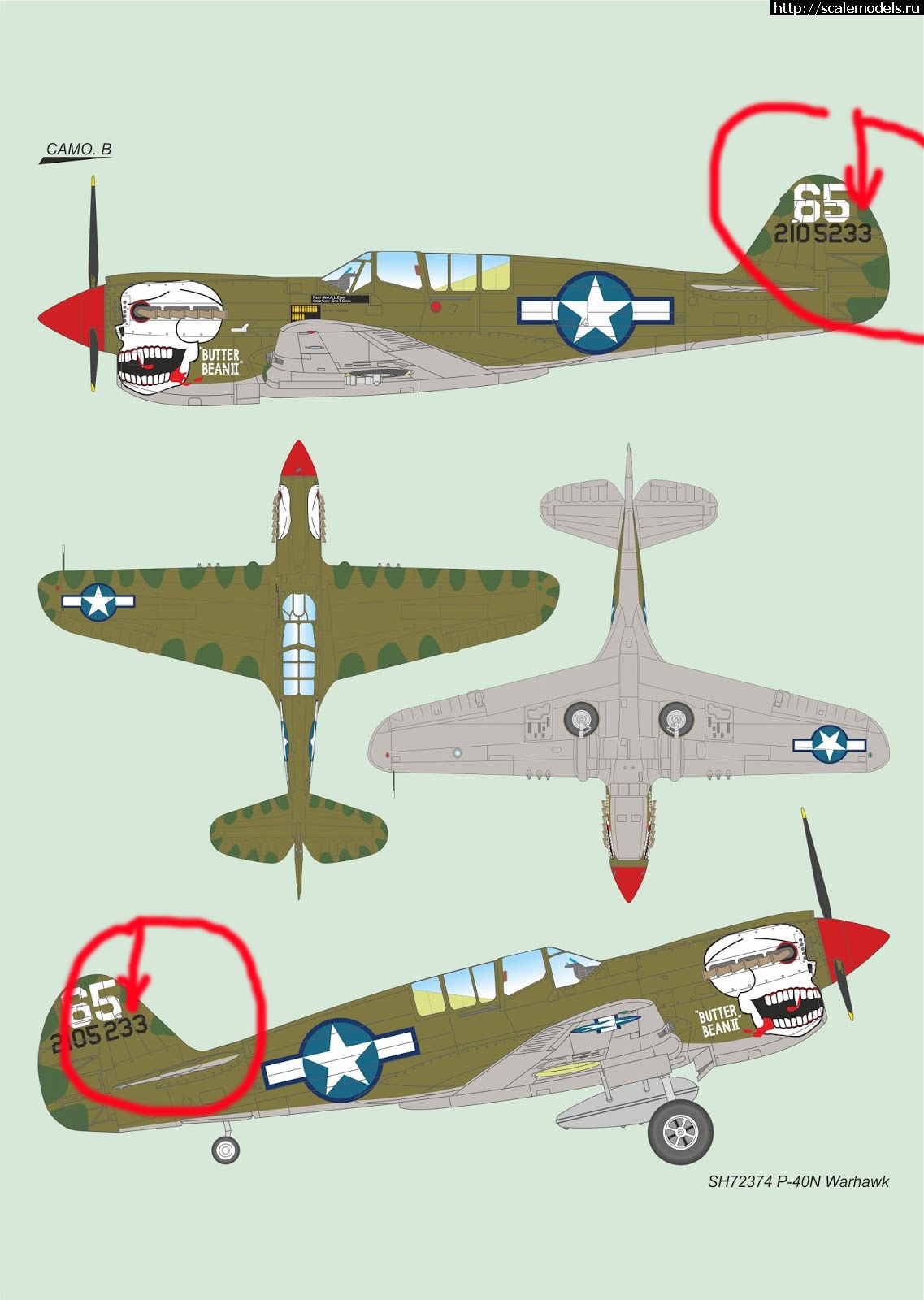 1674311784_SH72374-P40N-camos-blog-B.jpg : #1770386/ P-40 Warhawk/Tomahawk/Kittyhawk -     