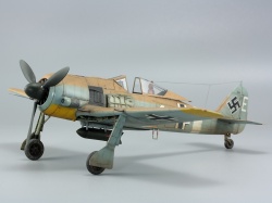 Eduard 1/48 Fw 190A-4/Trop    