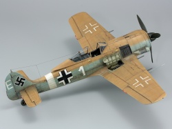 Eduard 1/48 Fw 190A-4/Trop    