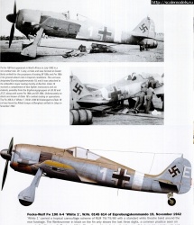 Eduard 1/48 Fw 190A-4/Trop    